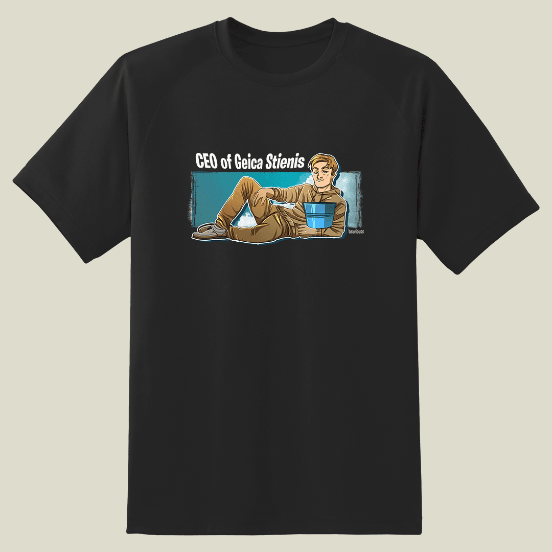 Ceo of Geica Stienis 2